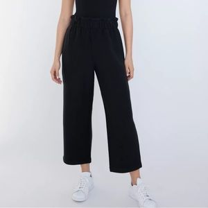 Aritzia Powell pant
